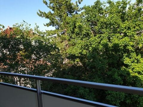 Appartement FOCH à COLMAR Exterior foto